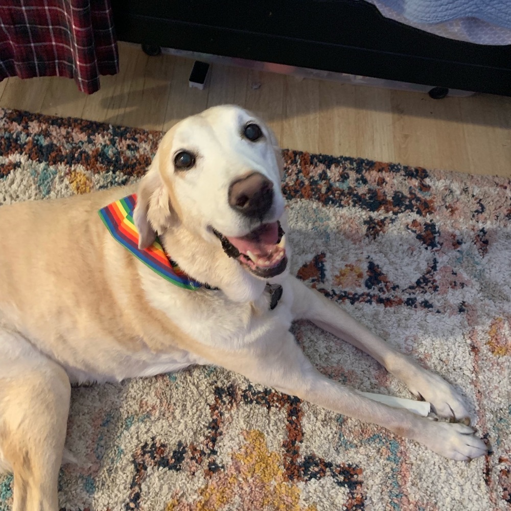 Meet your Posher, Carolyn